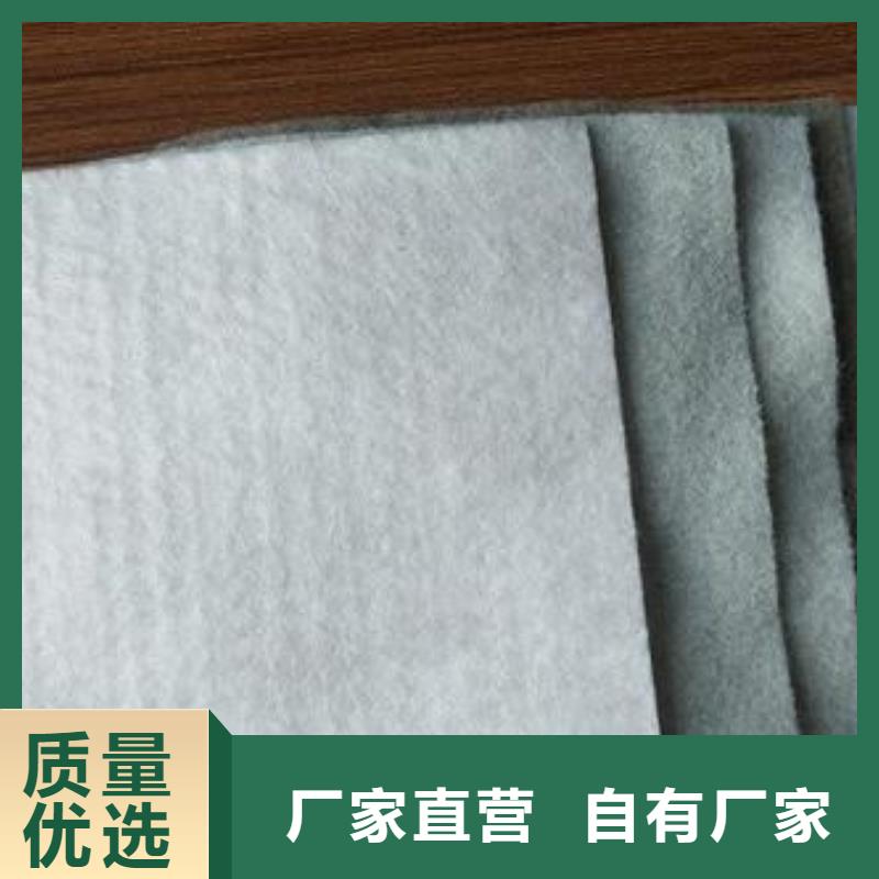 土工布双向塑料格栅商家