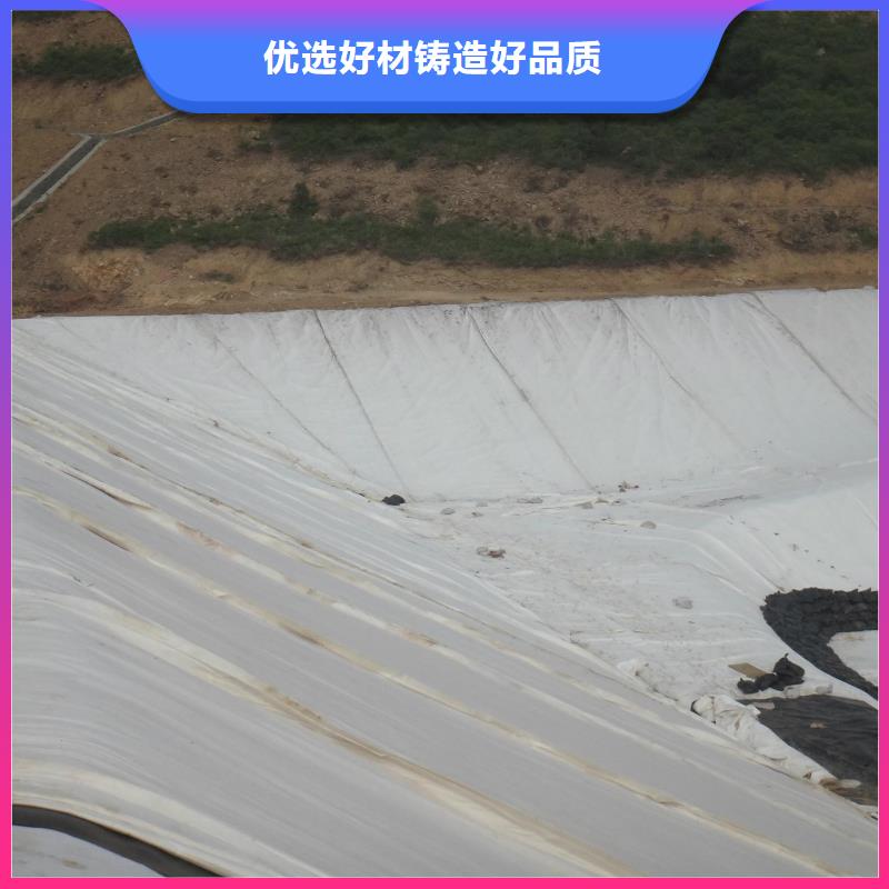 【土工布】单向塑料土工格栅厂家现货批发