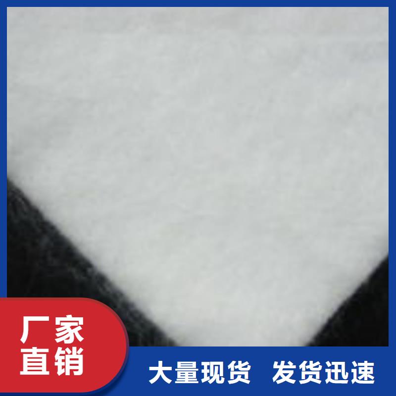 【土工布】单向塑料土工格栅厂家现货批发