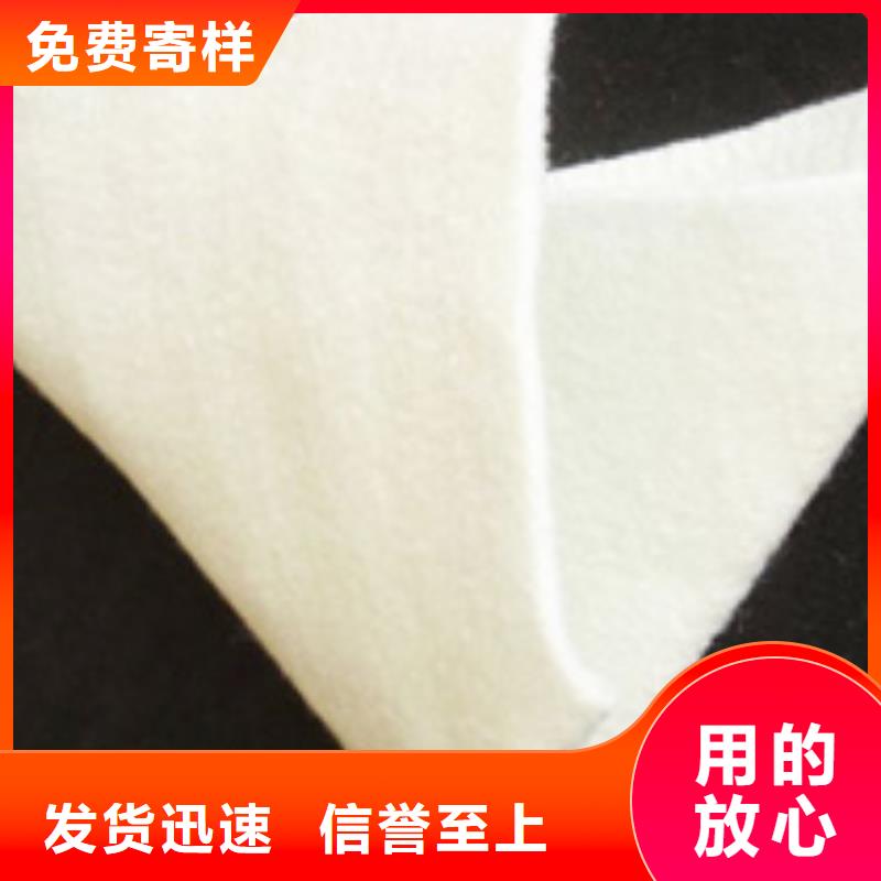 【土工布】单向塑料土工格栅厂家现货批发