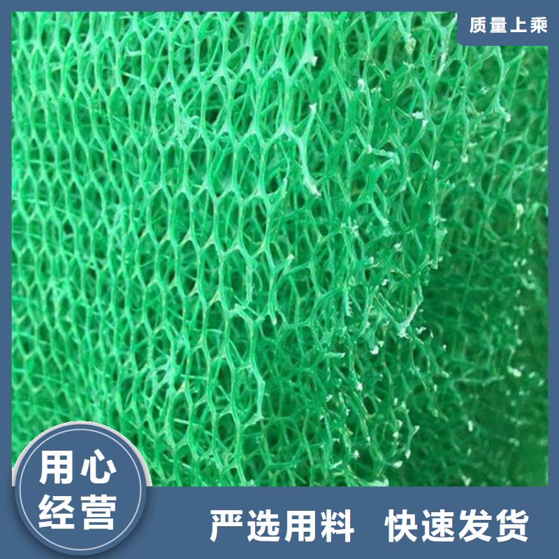 三维植被网无纺布工程施工案例