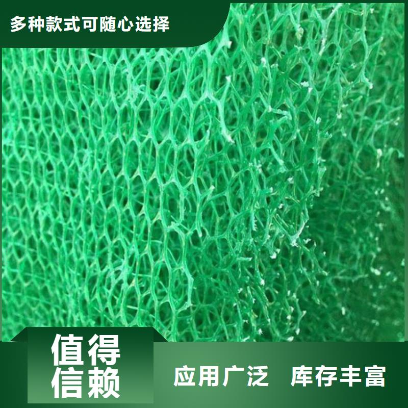 三维植被网凸结点钢塑土工格栅可放心采购