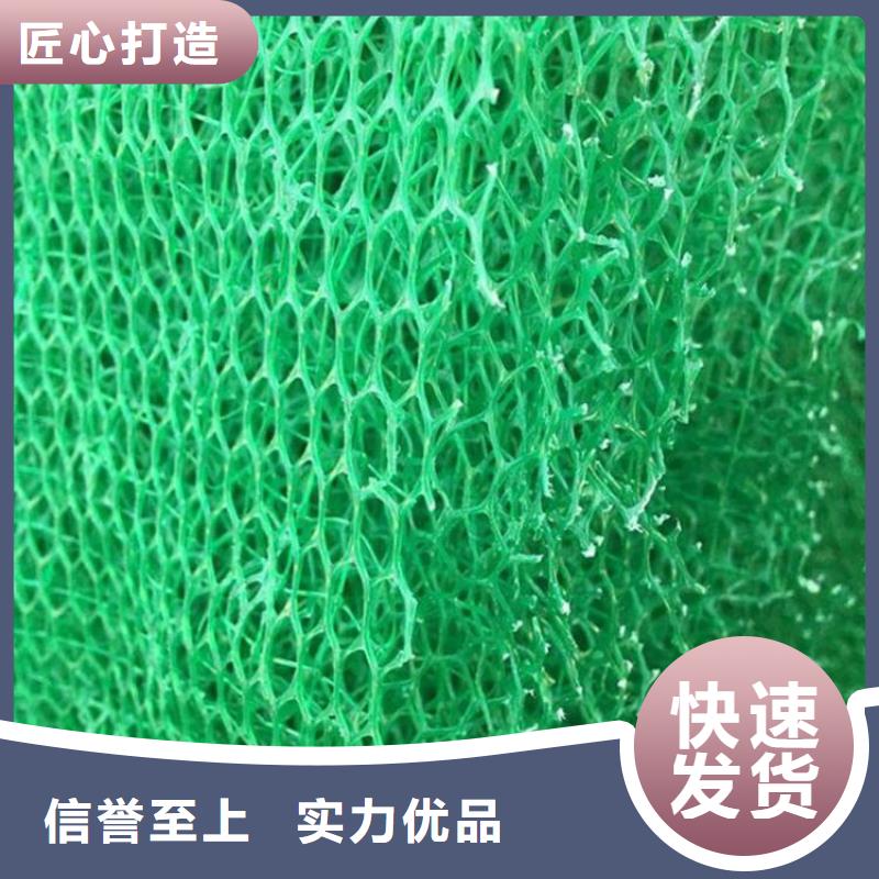 三维植被网双向塑料土工格栅厂家大量现货