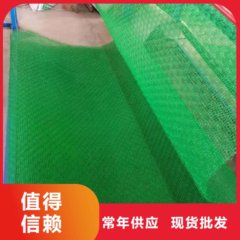 三维植被网_长丝土工布源头采购