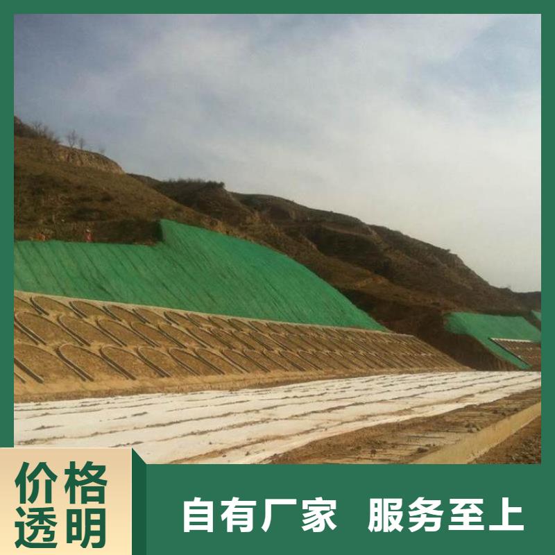 三维植被网凸结点钢塑土工格栅专业生产团队