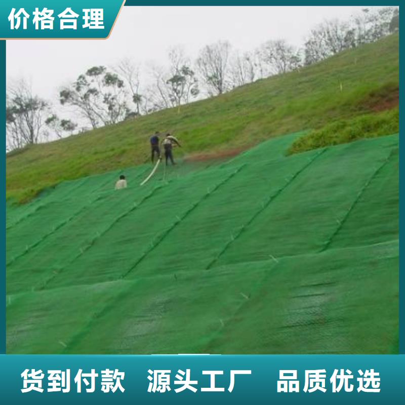 三维植被网双向塑料土工格栅厂家大量现货