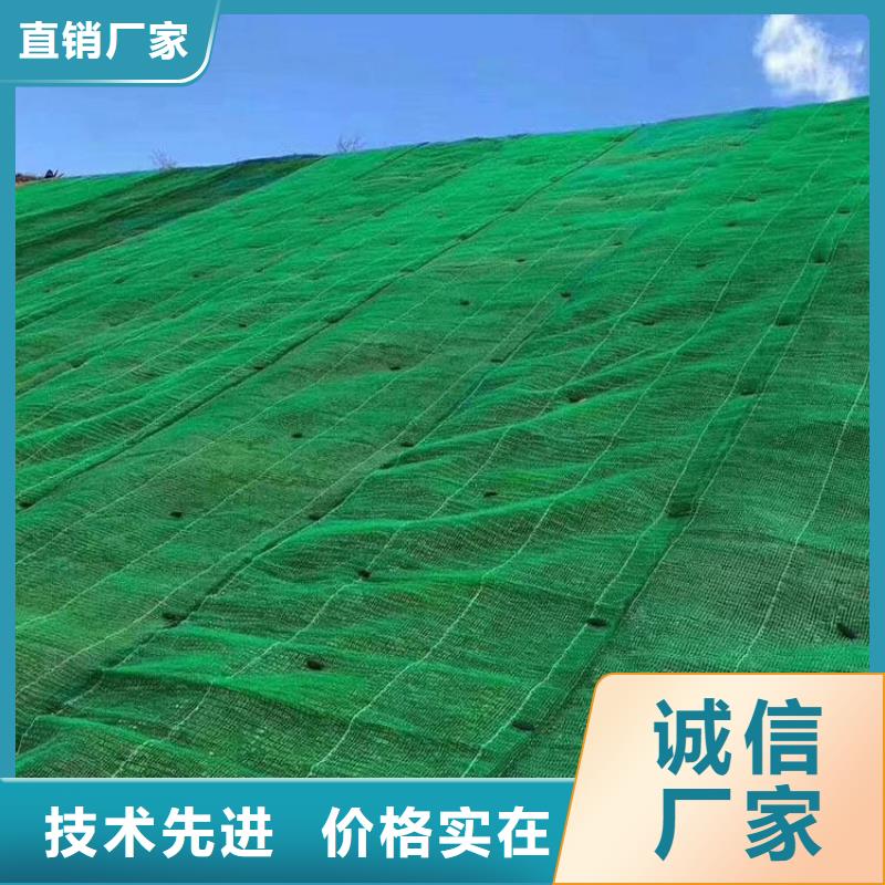 三维植被网凸结点钢塑土工格栅可放心采购