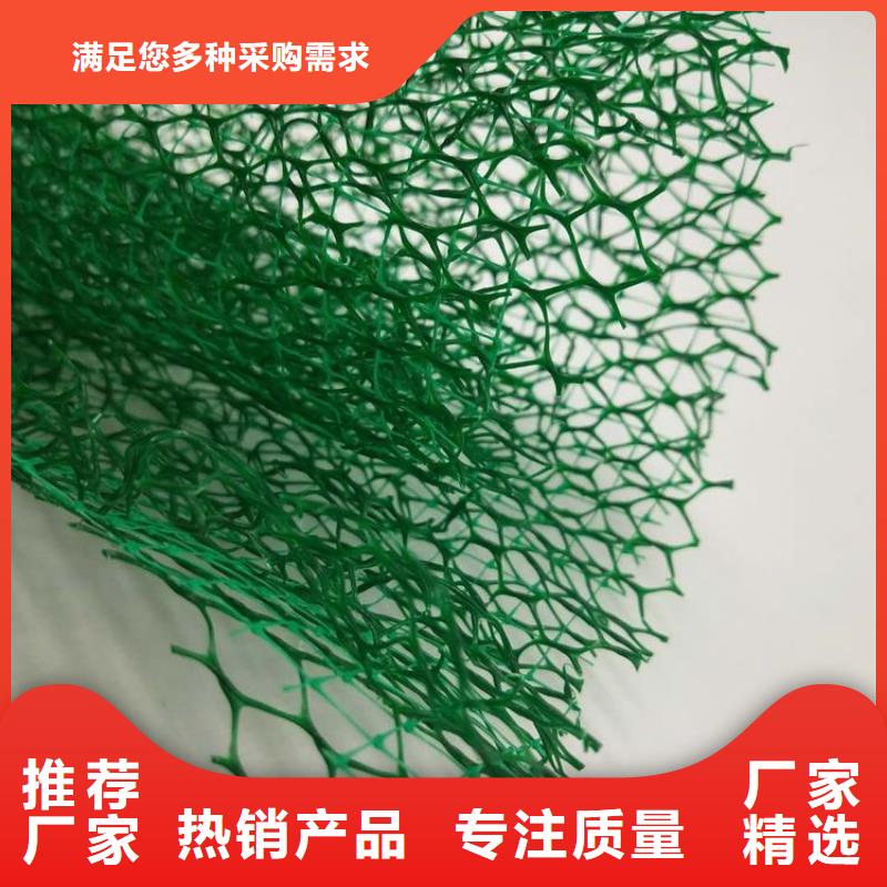 【三维植被网,土工席垫正规厂家】