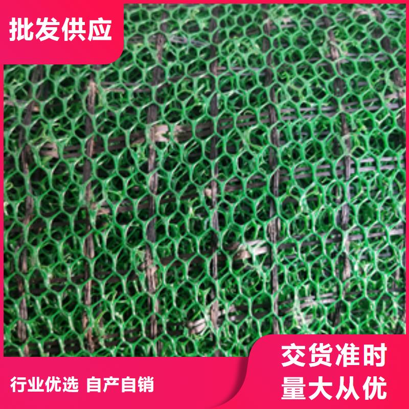 三维植被网双向塑料土工格栅厂家质量过硬