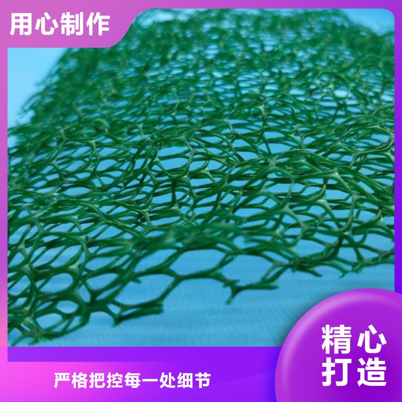 三维植被网凸结点钢塑土工格栅可放心采购
