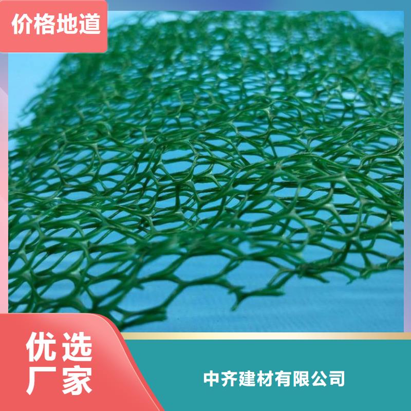 三维植被网双向塑料土工格栅厂家质量过硬