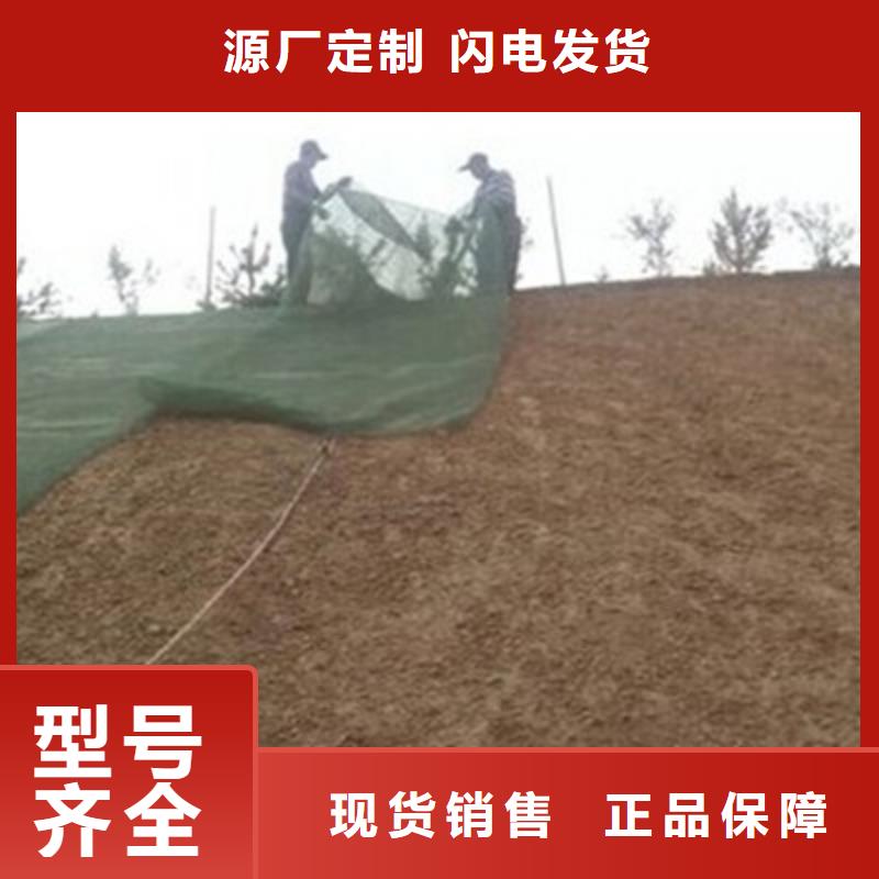 三维植被网双向塑料土工格栅厂家质量过硬