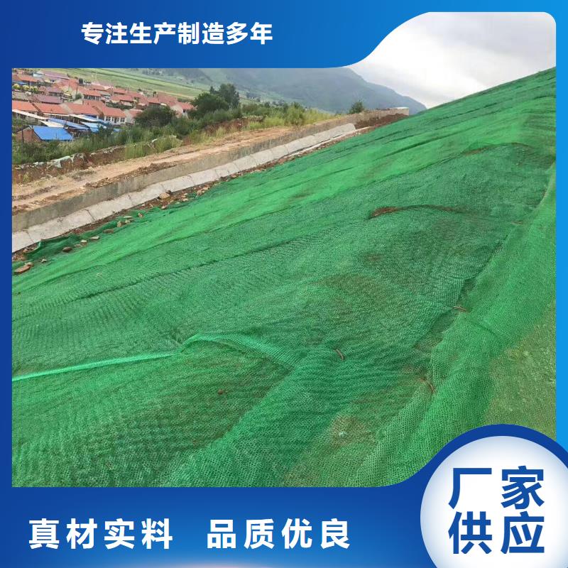 三维植被网_长丝土工布源头采购