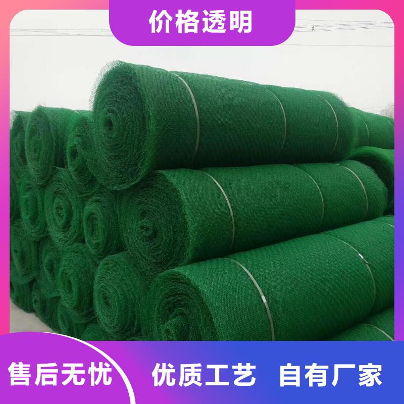 【三维植被网,土工席垫正规厂家】