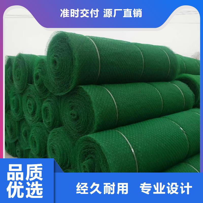三维植被网凸结点钢塑土工格栅专业生产团队