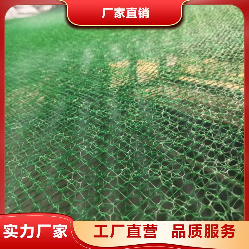 三维植被网双向塑料土工格栅厂家大量现货