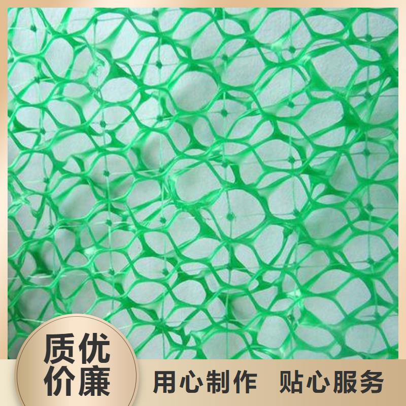 三维植被网_长丝土工布源头采购
