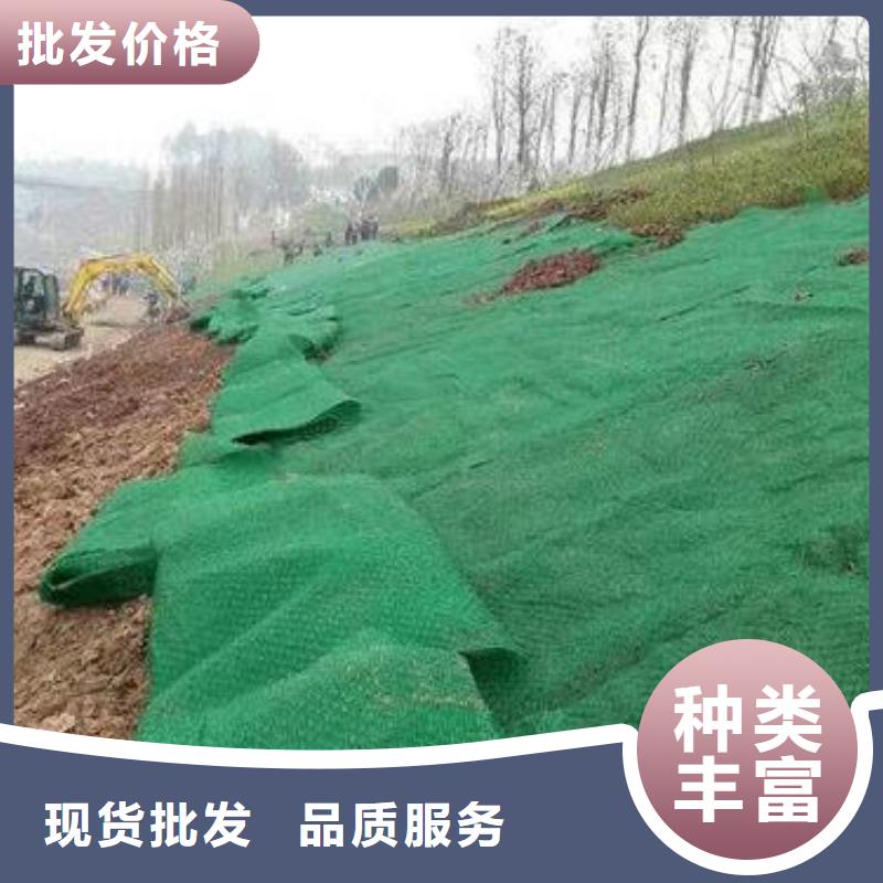 三维植被网-土工格室市场行情
