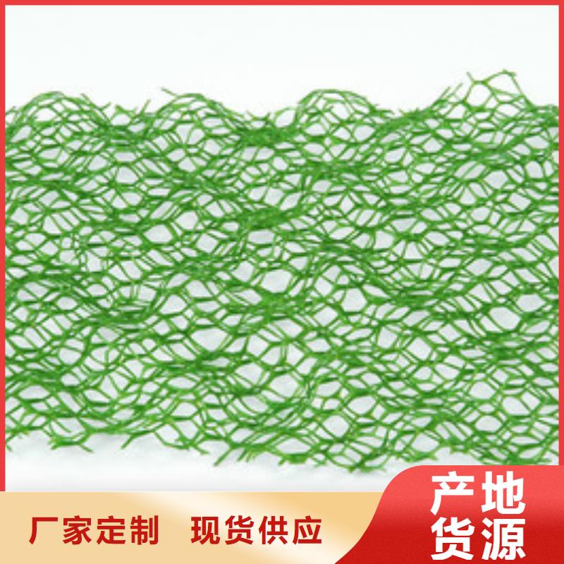 三维植被网双向塑料土工格栅厂家质量过硬