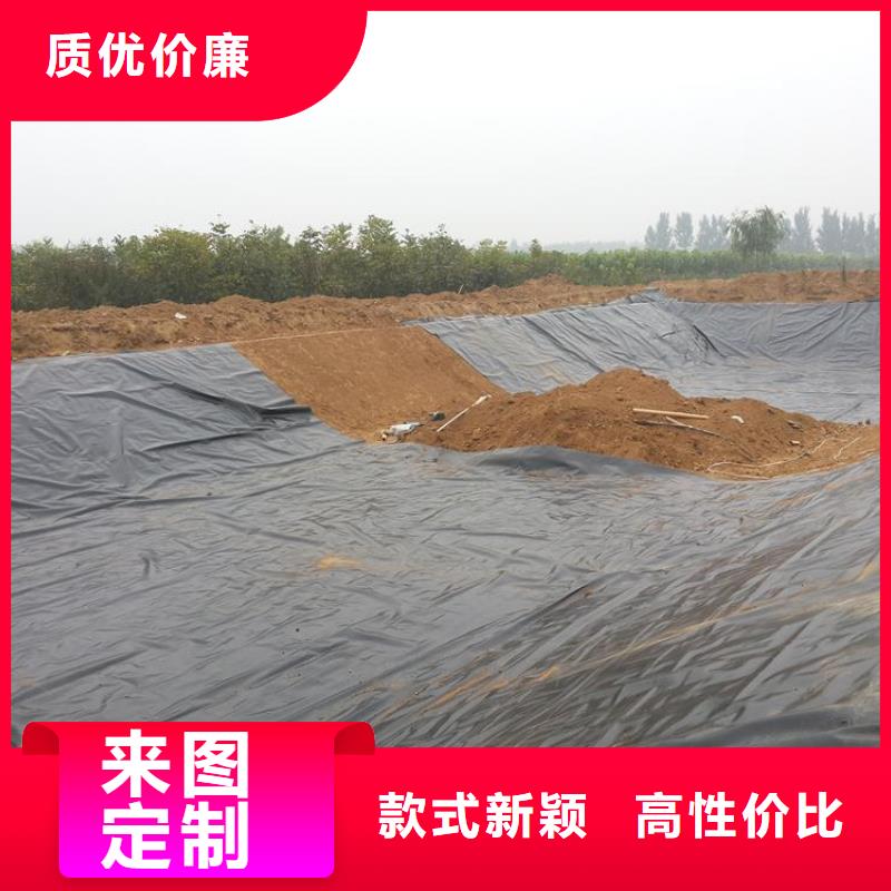 土工膜单向塑料格栅专业的生产厂家