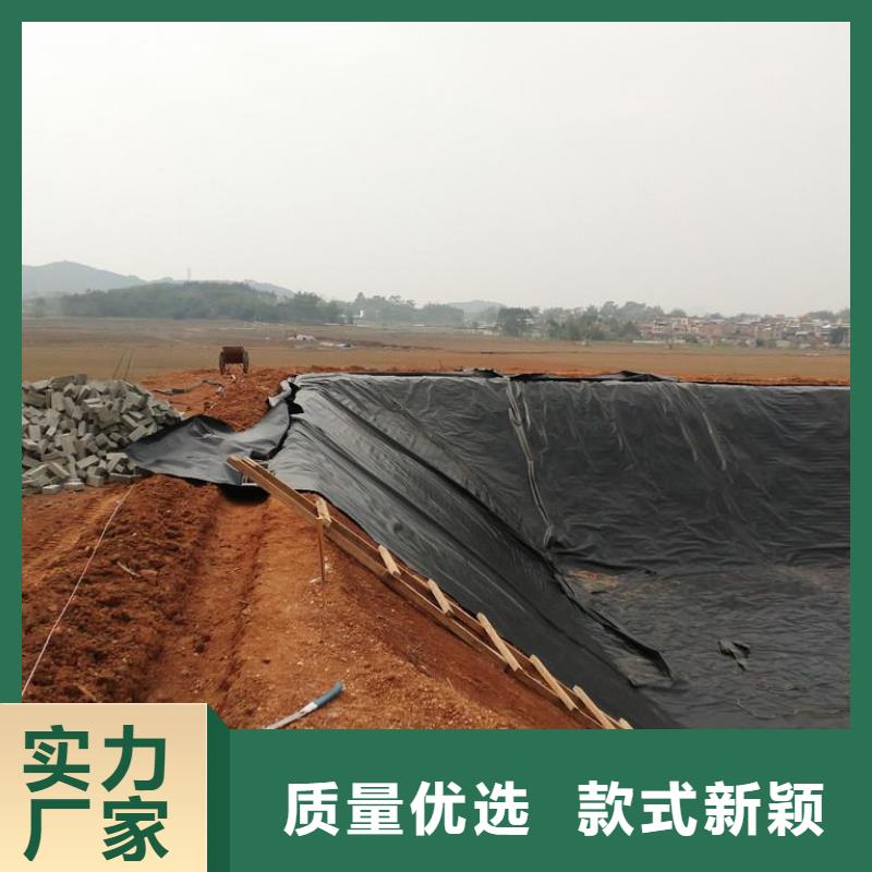 土工膜单向塑料格栅专业的生产厂家