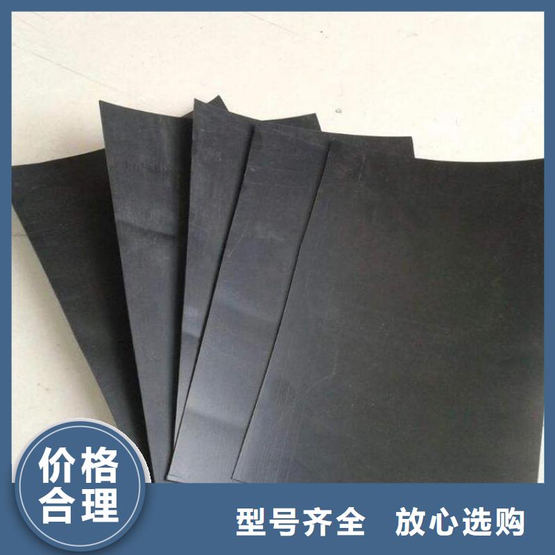 土工膜单向塑料格栅专业的生产厂家