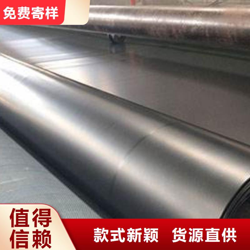 土工膜单向塑料格栅专业的生产厂家