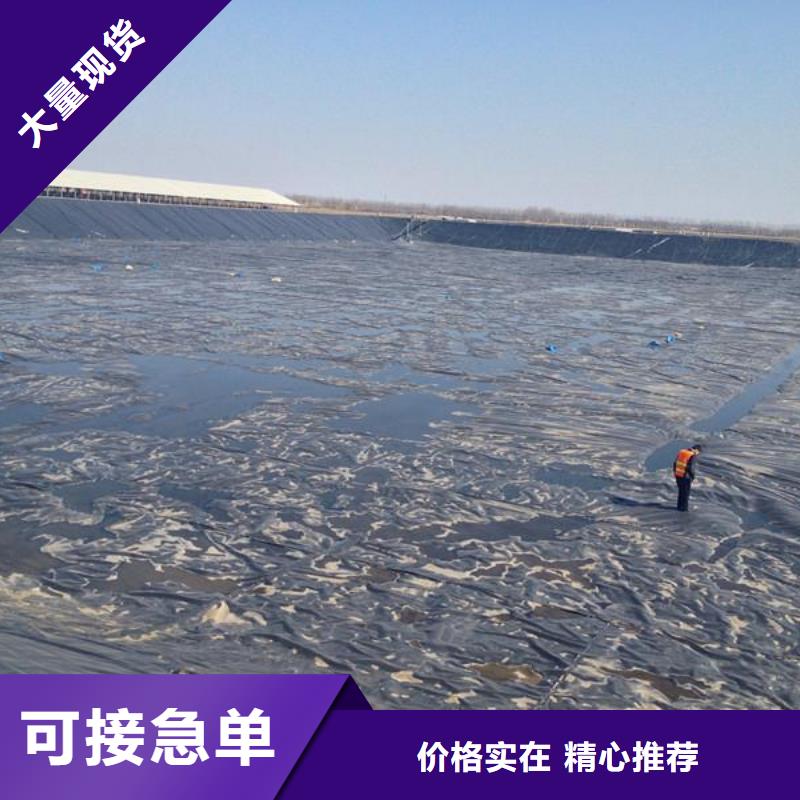 土工膜单向塑料格栅专业的生产厂家