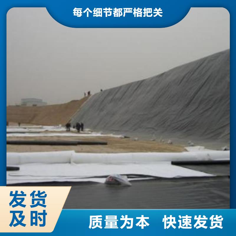 土工膜短丝土工布厂家批发价