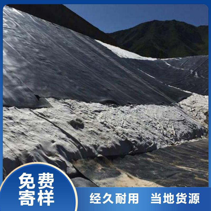 土工膜双向塑料土工格栅商家