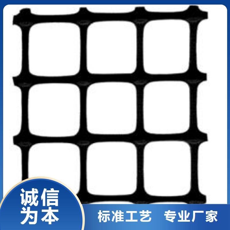 双向塑料土工格栅_【涤纶土工格栅】实体厂家大量现货