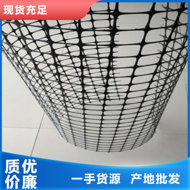双向塑料土工格栅,护坡土工网产地直供
