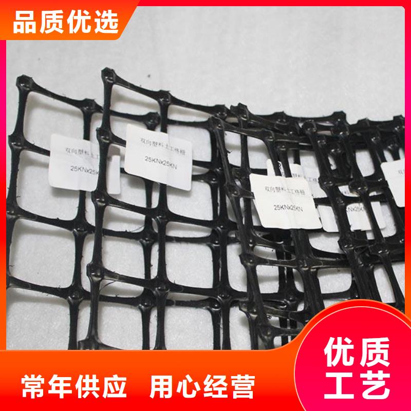 双向塑料土工格栅,护坡土工网产地直供