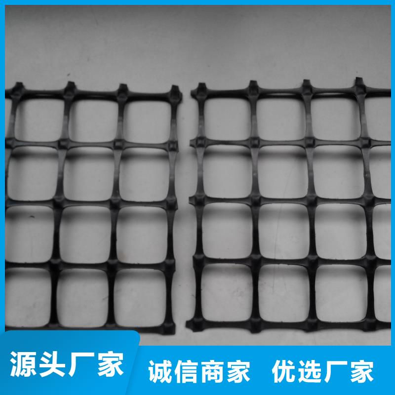 双向塑料土工格栅-凸结点钢塑土工格栅一致好评产品