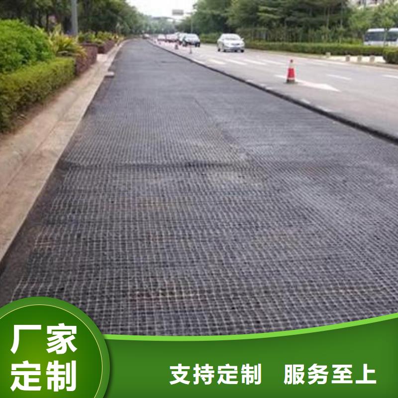 双向塑料土工格栅,护坡土工网产地直供
