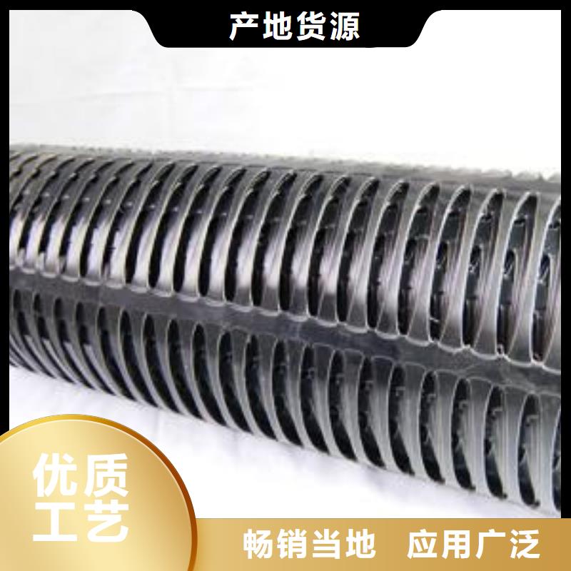 双向塑料土工格栅钢塑土工格栅制造生产销售