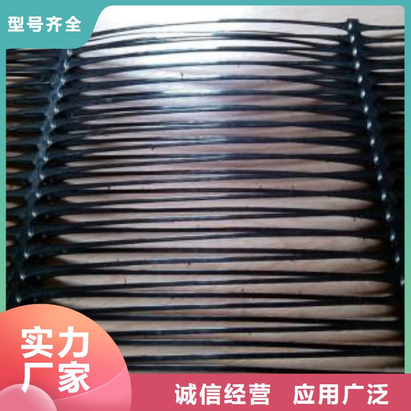 双向塑料土工格栅,护坡土工网产地直供