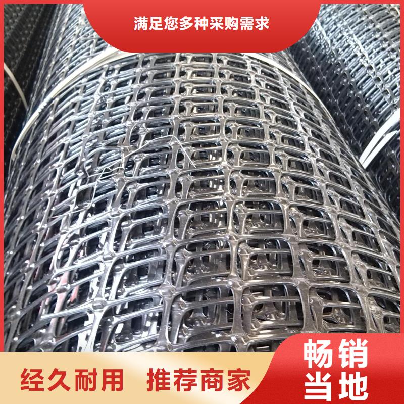 双向塑料土工格栅,护坡土工网产地直供
