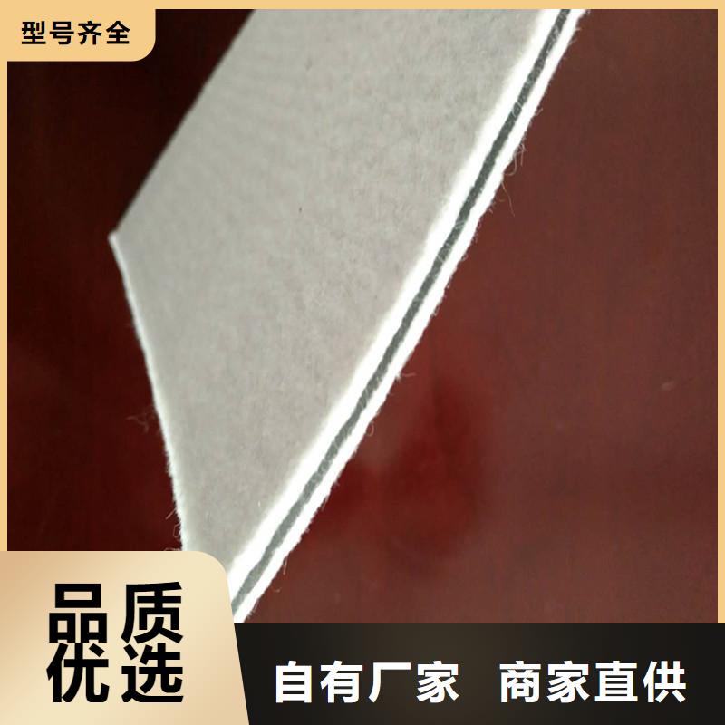 土工膜护坡土工网工厂采购