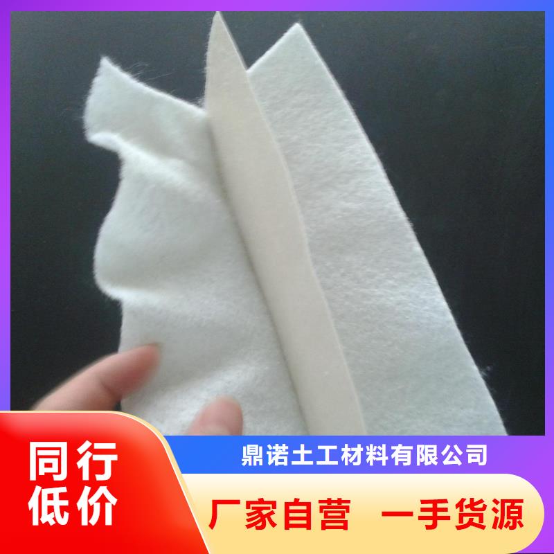 土工膜钢塑土工格栅送货上门