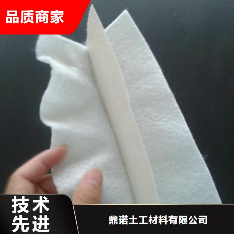 【土工膜三维植被网精选货源】