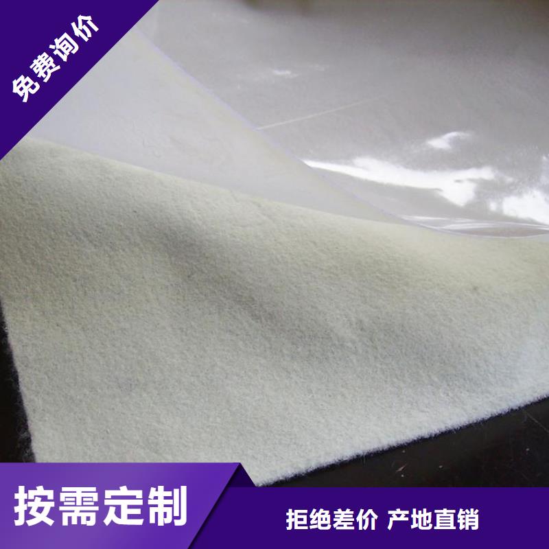 土工膜单向塑料土工格栅用心做产品