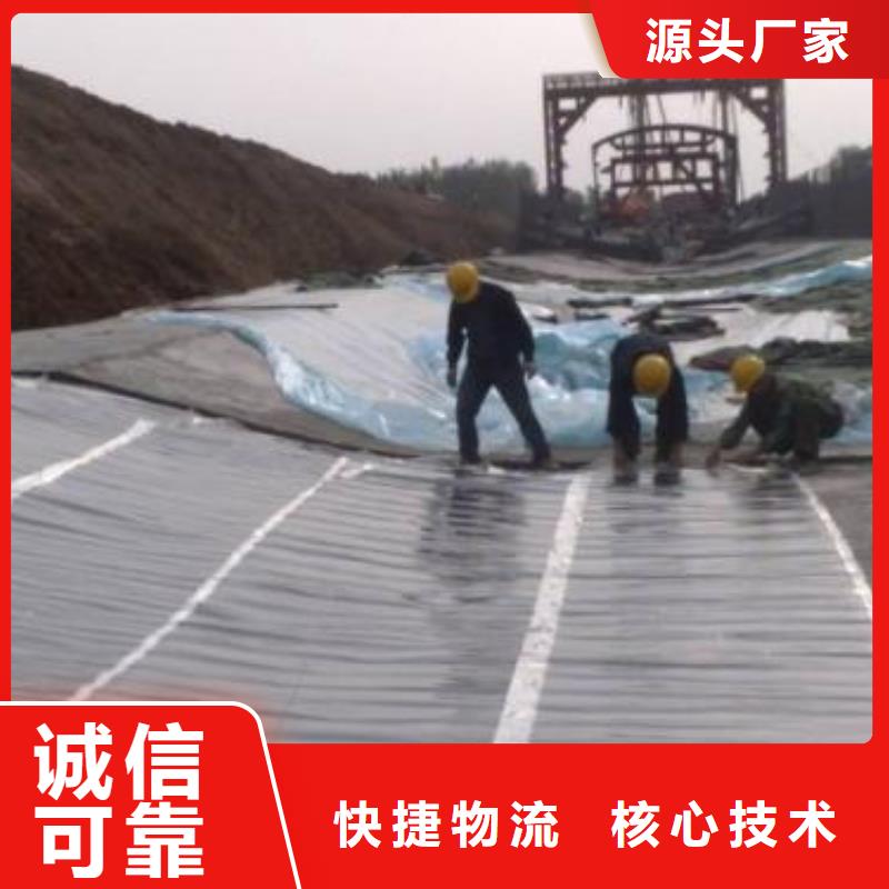 土工膜涤纶土工格栅符合行业标准