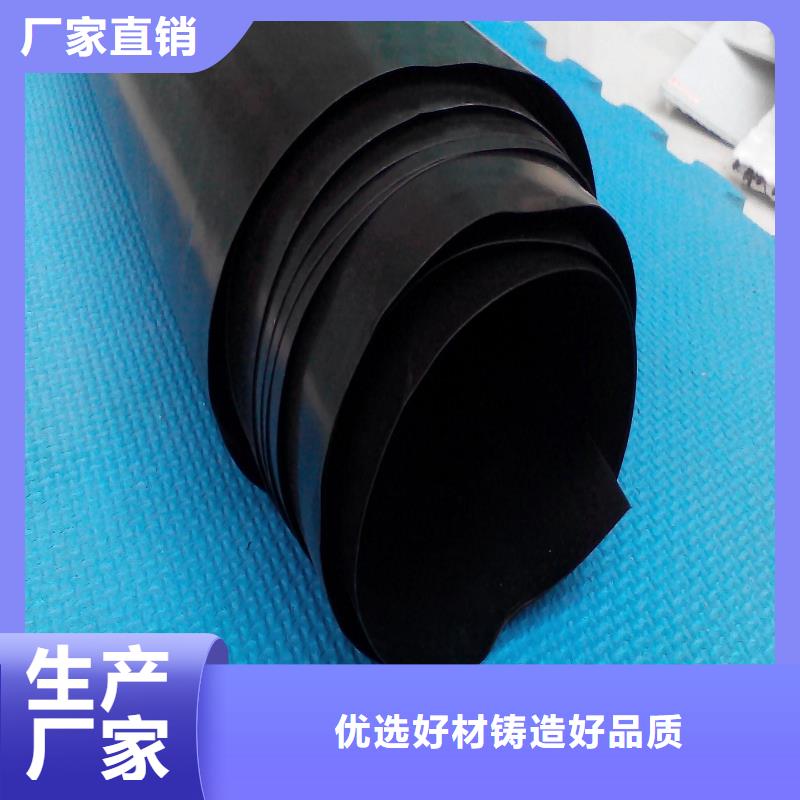 土工膜钢塑土工格栅送货上门