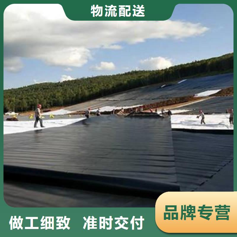 【土工膜】水土保护毯今日价格