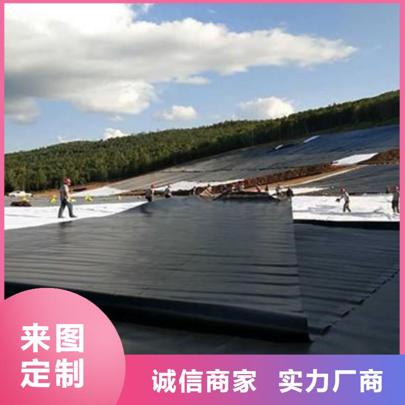 土工膜涤纶土工格栅符合行业标准
