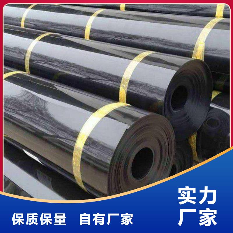 土工膜涤纶土工格栅符合行业标准