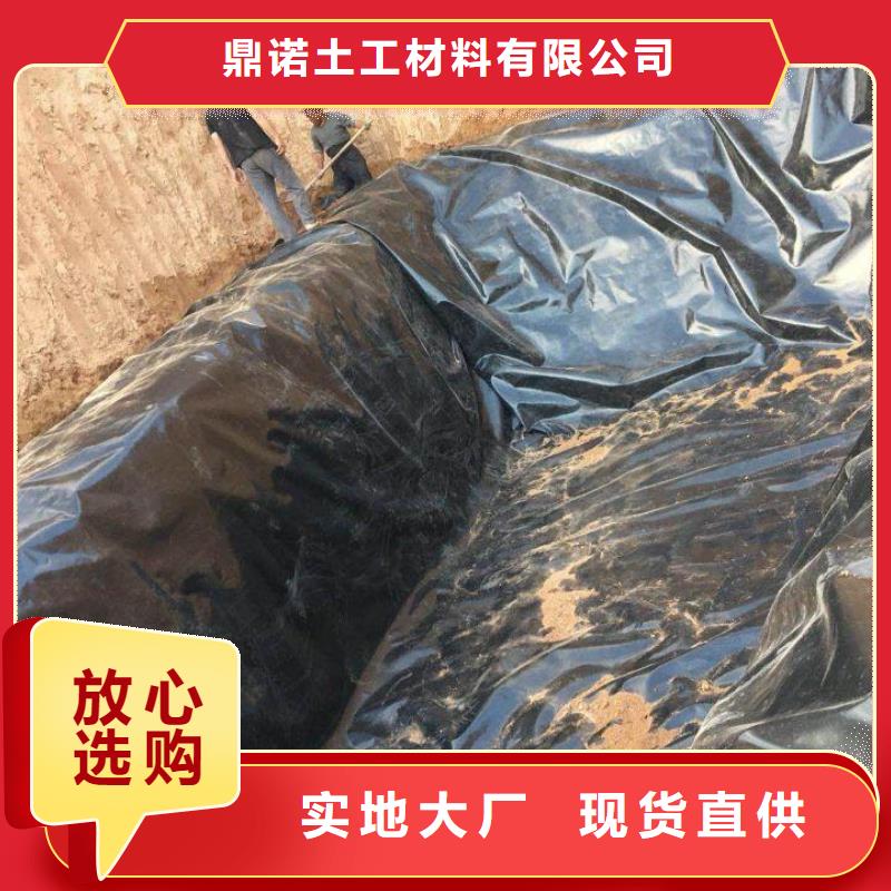 【土工膜】水土保护毯今日价格