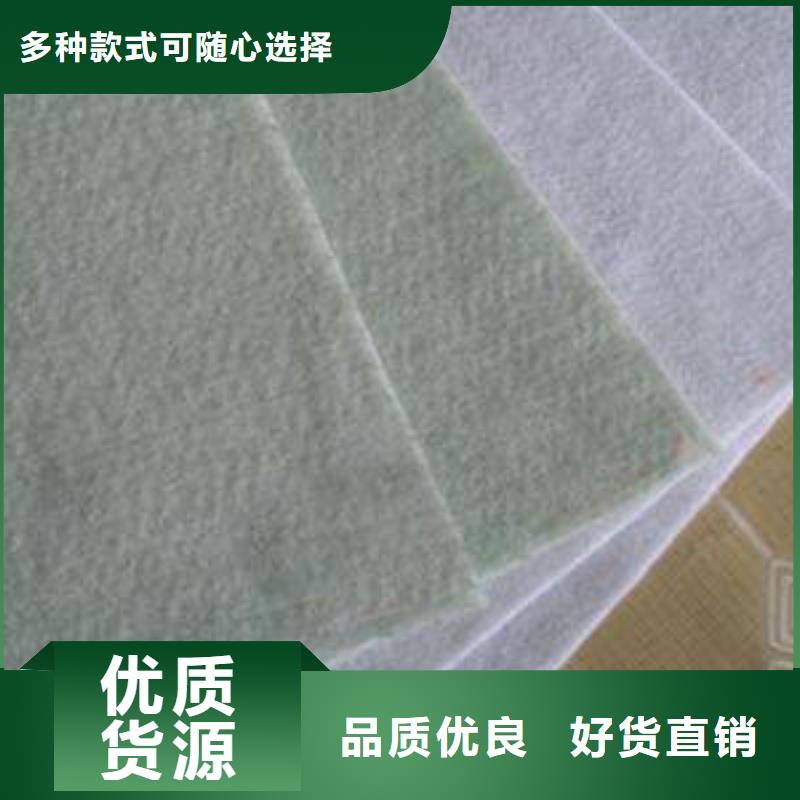 土工布双向塑料土工格栅产地货源
