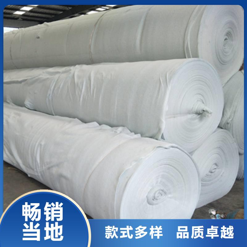 土工布单向塑料土工格栅打造好品质
